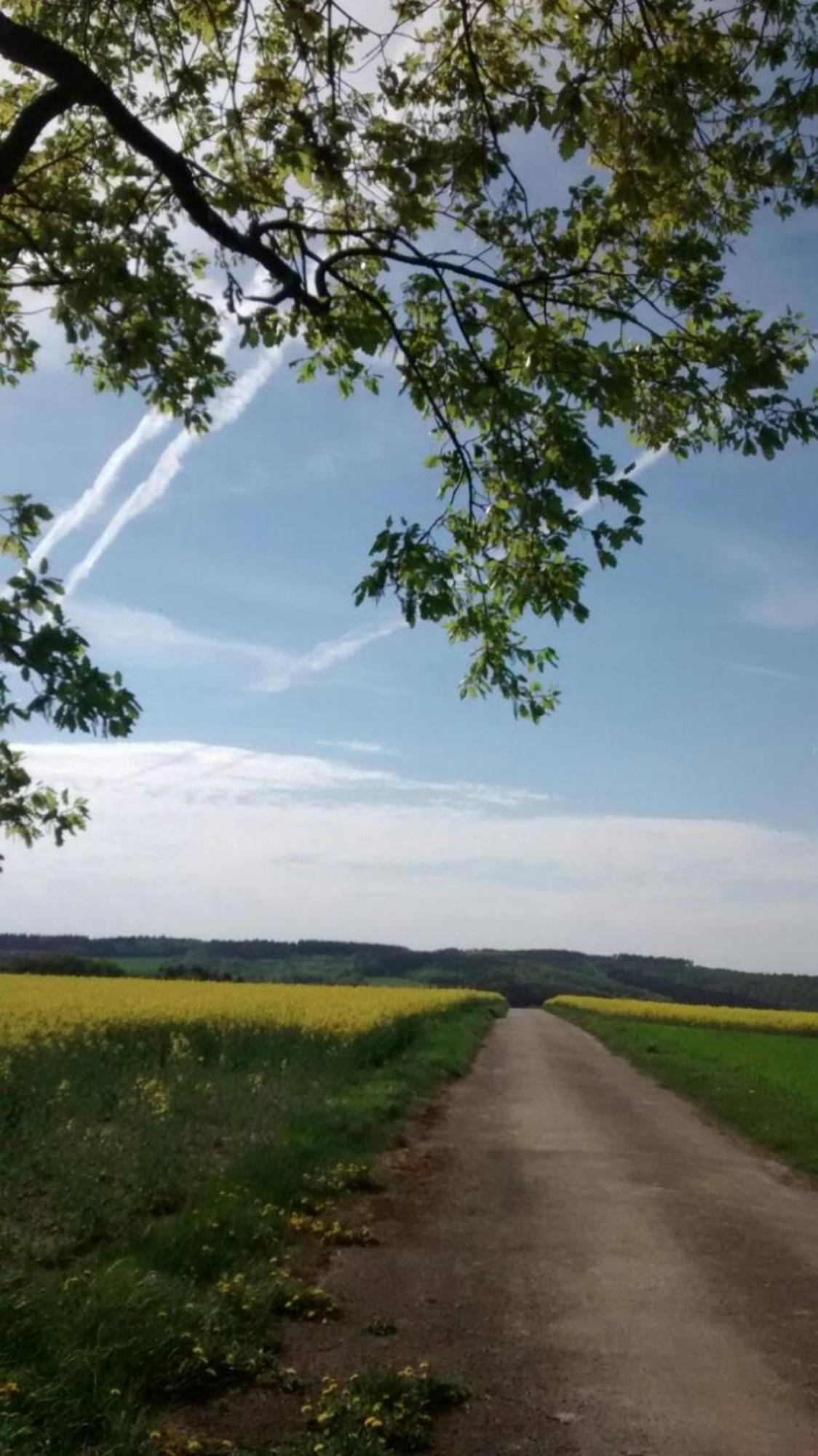 Ferienwohnung Otto Kleinich Zewnętrze zdjęcie